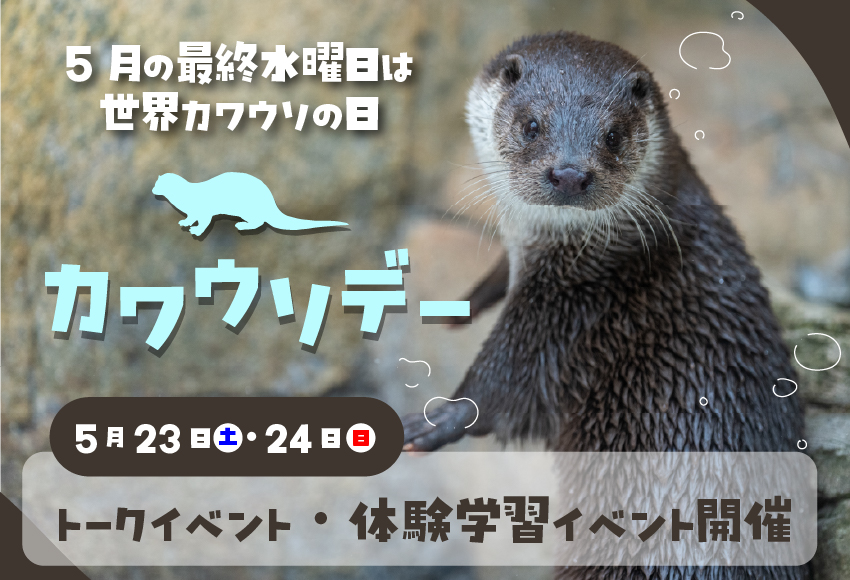 カワウソページ ペーパーホルダー SC-60D (SC-60D-XC) | Products | KAWAJUN Global