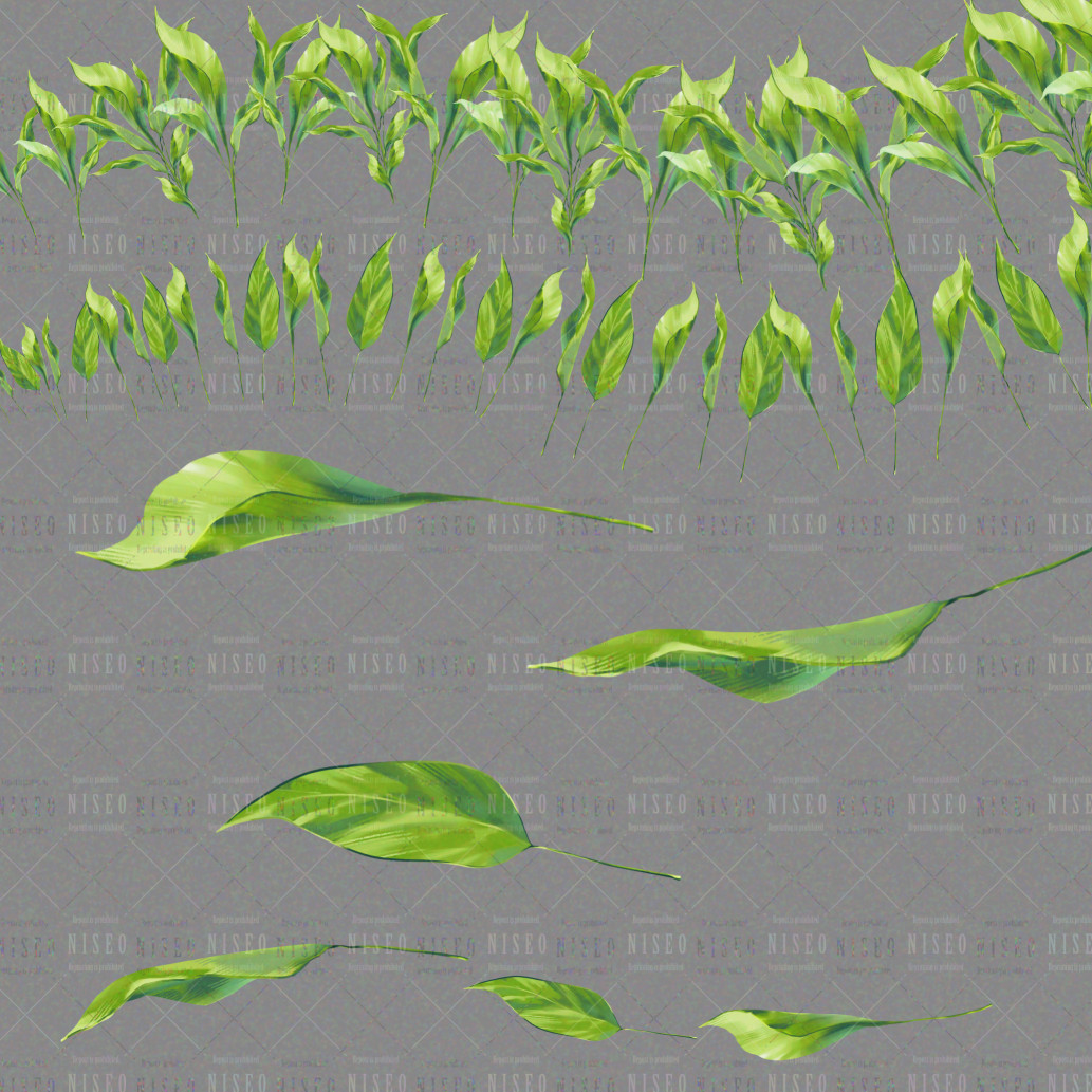 niseo's tweet photo. 【期間限定無料】観葉植物風葉っぱで飾るブラシ
青々しい葉っぱを自由に使えるブラシです、色替えもアリ！詳細はリプ欄のリンク先へ！現在無料公開中で、数日中に有料に切り替わります(続)
#clipstudio #にせ素材 https://t.co/Djaau2cKnB