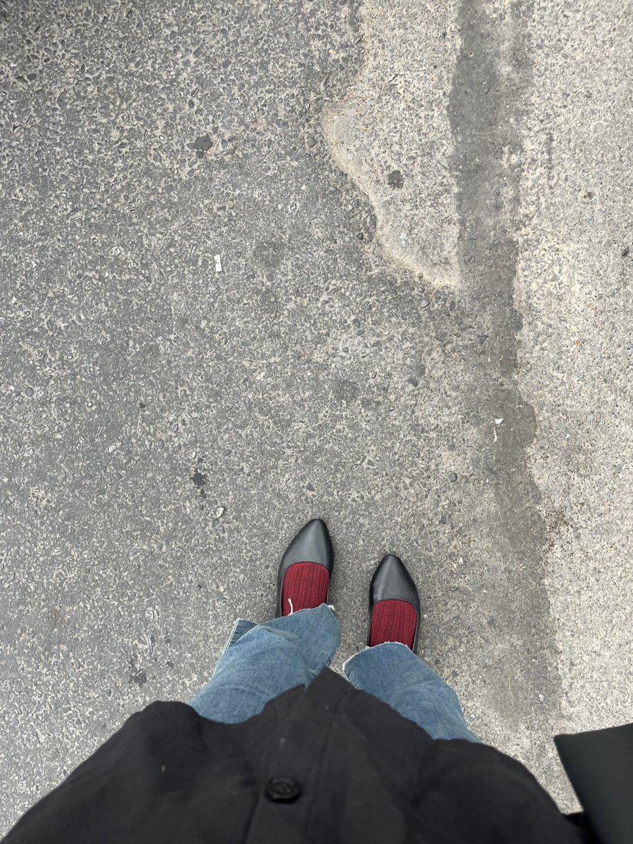 Parnian tweet media