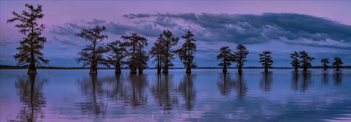 Peter Lik tweet media