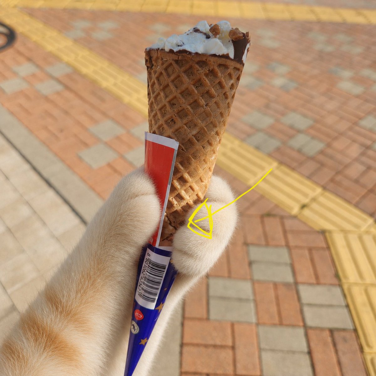 미세 tweet media