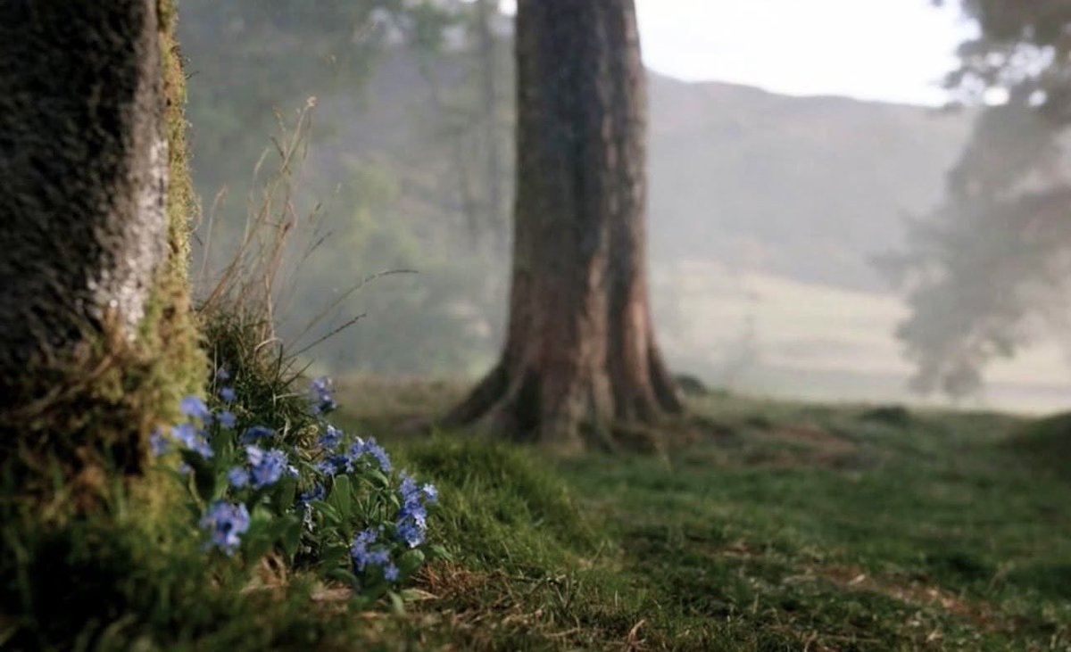 lawwmer's tweet photo. Outlander final bölümünden sesleniyorum ciğer falan kalmamıştır🥲 #outlander https://t.co/XZDxjCp44r