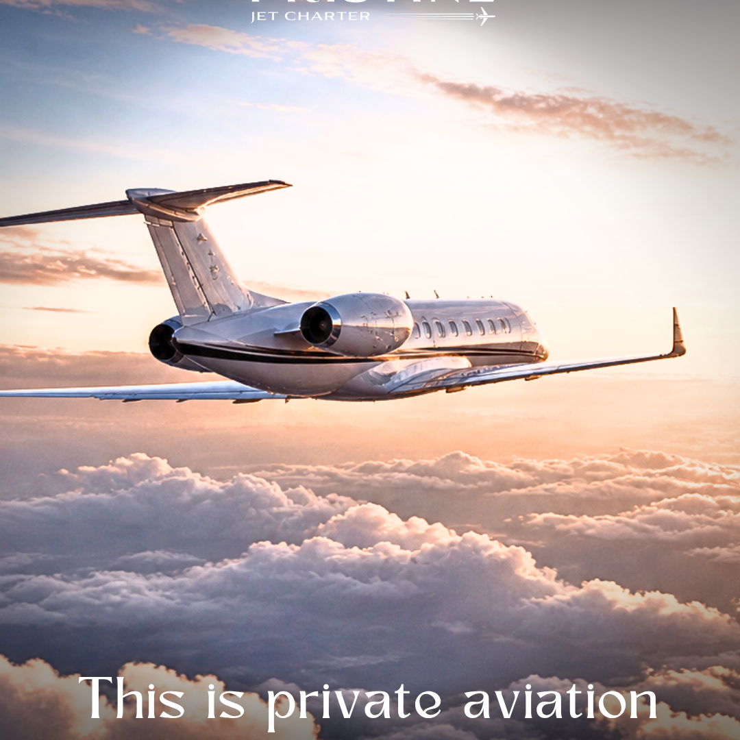 Pristine Jet Charter tweet media