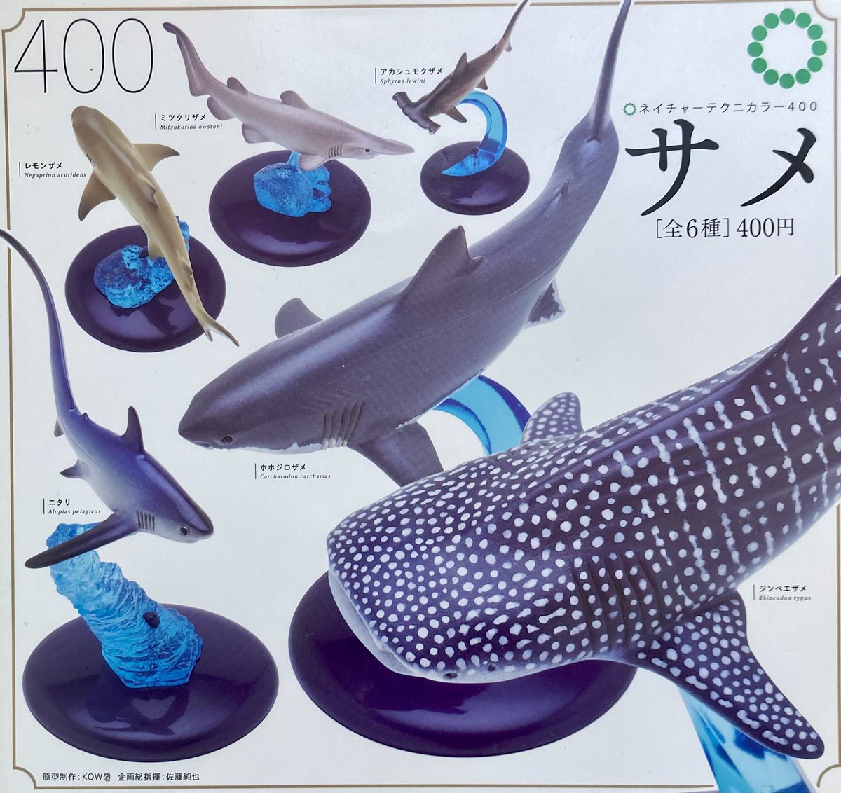 サメ TG274 サメ