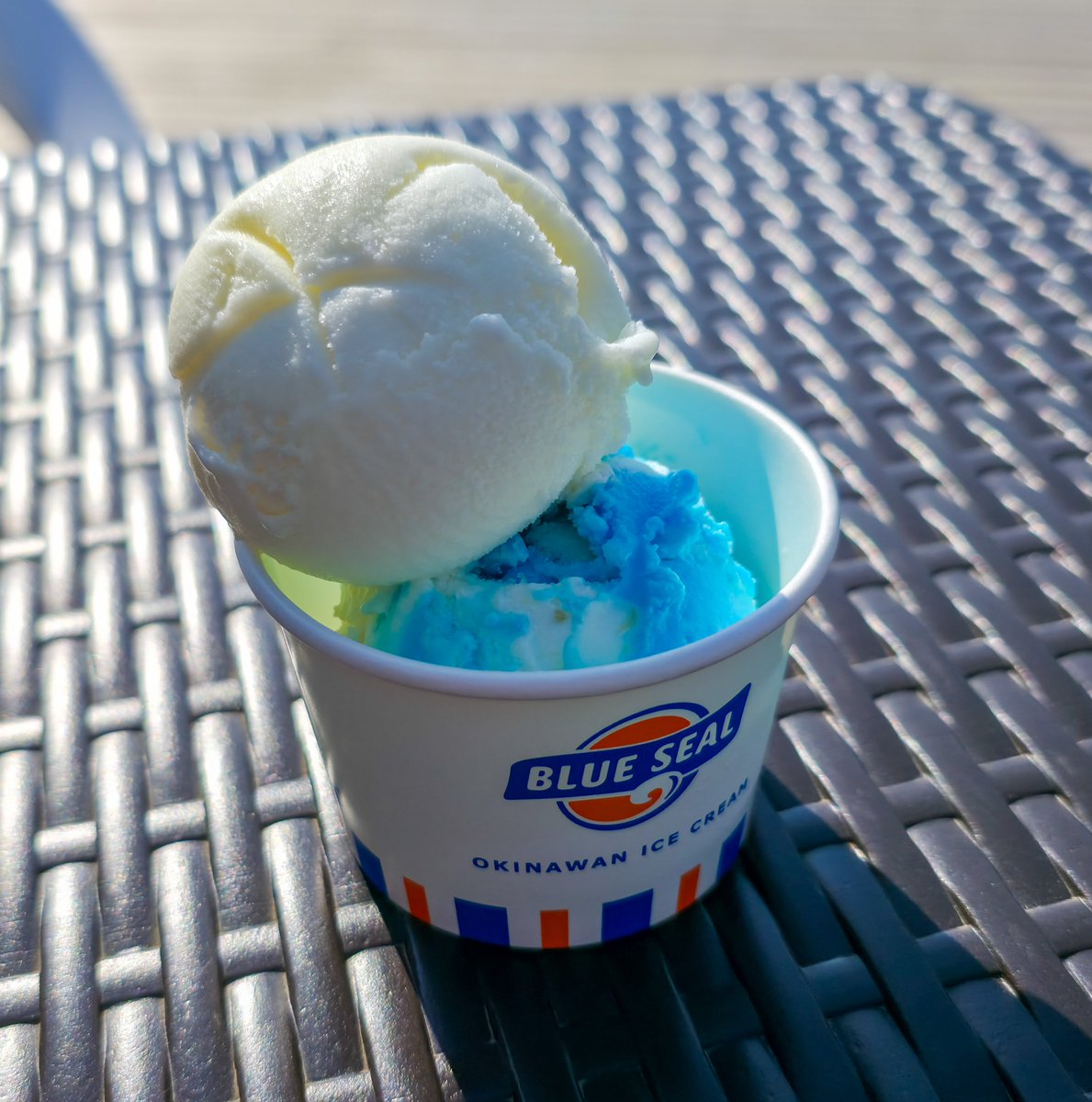 大好きなブルーシールアイスの お店があるのも魅力的な寺泊🍨 ブルー