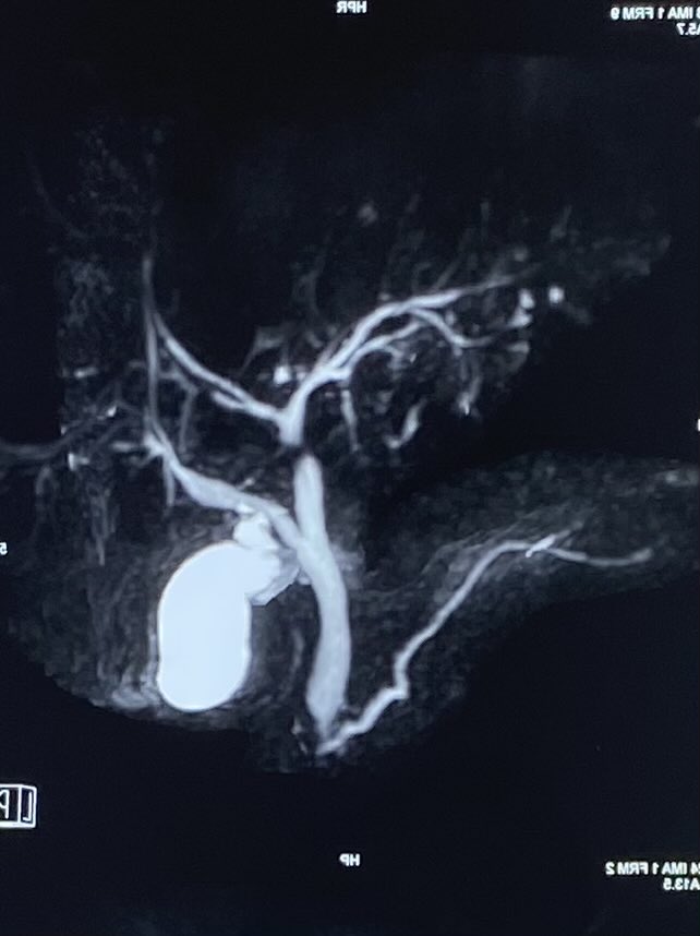 vinay dhir tweet media