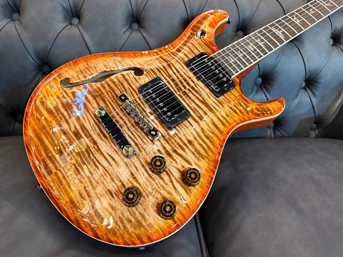 Paul Reed Smith (PRS) 2026 Wood Library McCarty 594 Semi-Hollow