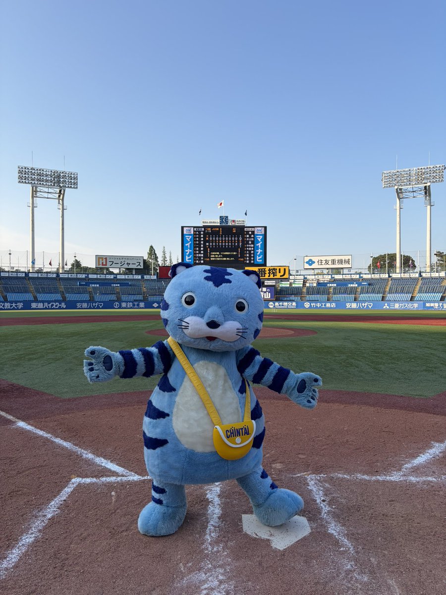 CHINTiger's tweet photo. 今日は良い天気なのです〜☀️

#神宮球場
#東京六大学野球
#チンタイガー https://t.co/4lbRV8aHOw