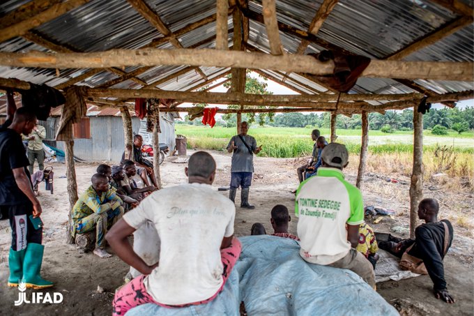 Fonds international de développement agricole tweet media