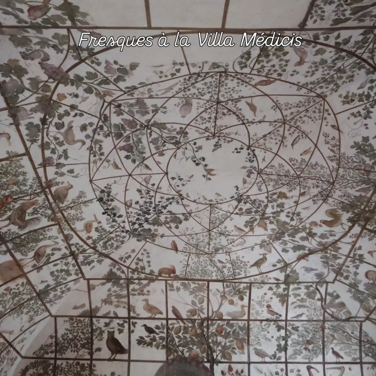createurdevoyag's tweet photo. La Villa Médicis à Rome https://t.co/cv6HYimqOa