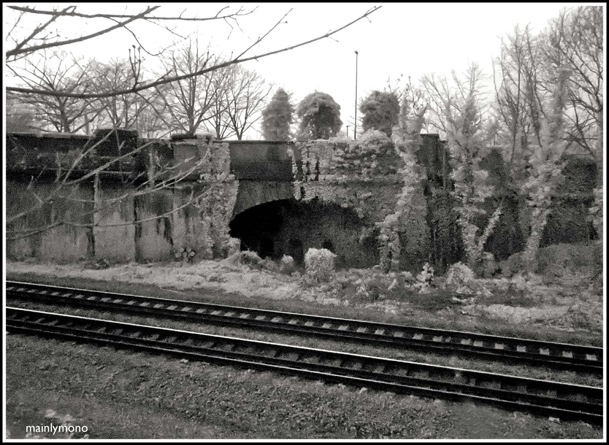 mainlymono's tweet photo. The grass etc in Leicester's Welford Road cemetery is left to grow (And only mown later in the year) to provide a haven for wildlife, and wild flowers - and begs a time exposure- 
The mainline to London is right next door, and the disused arch beyond  viewed from the cemetery https://t.co/8MVbGhimPc