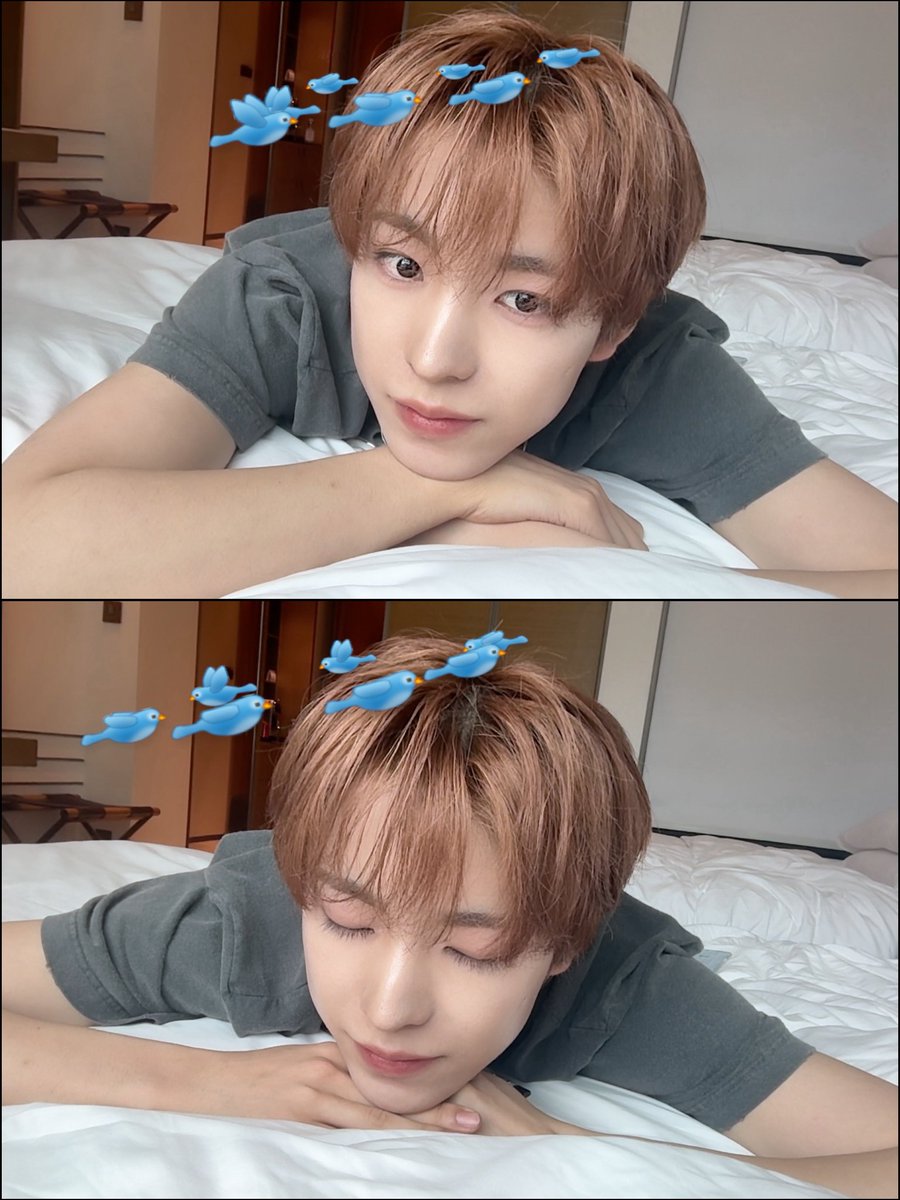 𝙧𝙚𝙛𝙡ee tweet media
