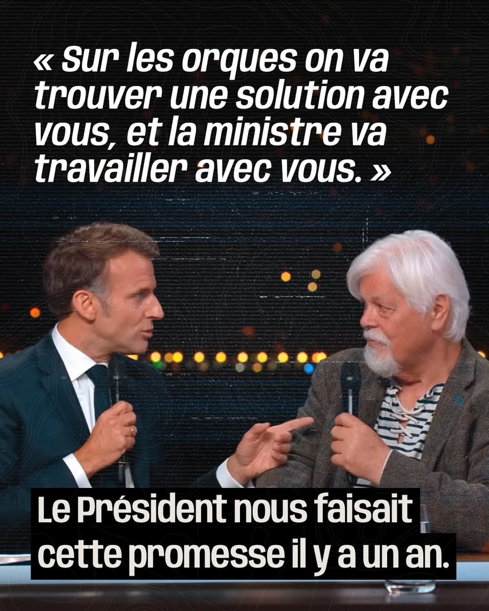 Adea Claude tweet media