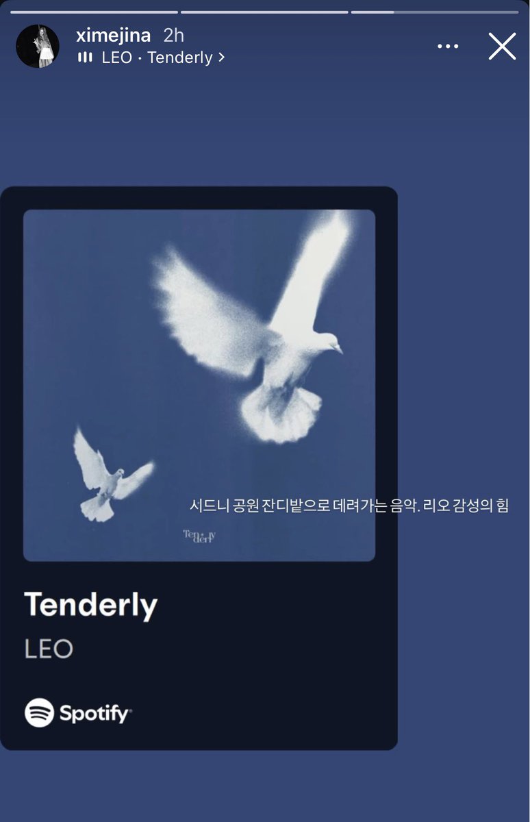 LEE LEO INTERNATIONAL 🦁 tweet media