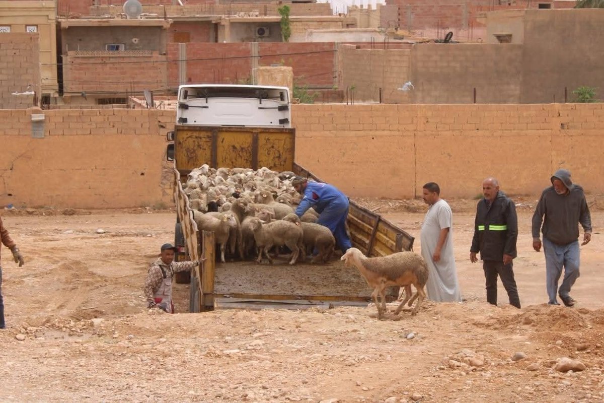 مبارك محمد نبشي tweet media