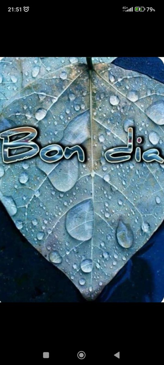 rosi1962❤️🐯🇪🇦🇪🇦🇹🇷🇹🇷 tweet media