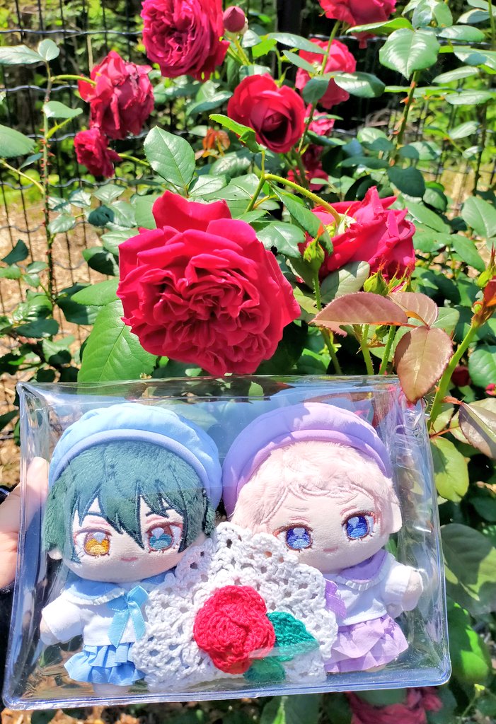 オクラホマミキオ@宗ペンを愛す tweet media