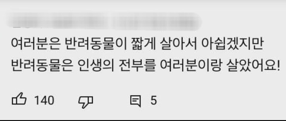쪼리(JJory) tweet media