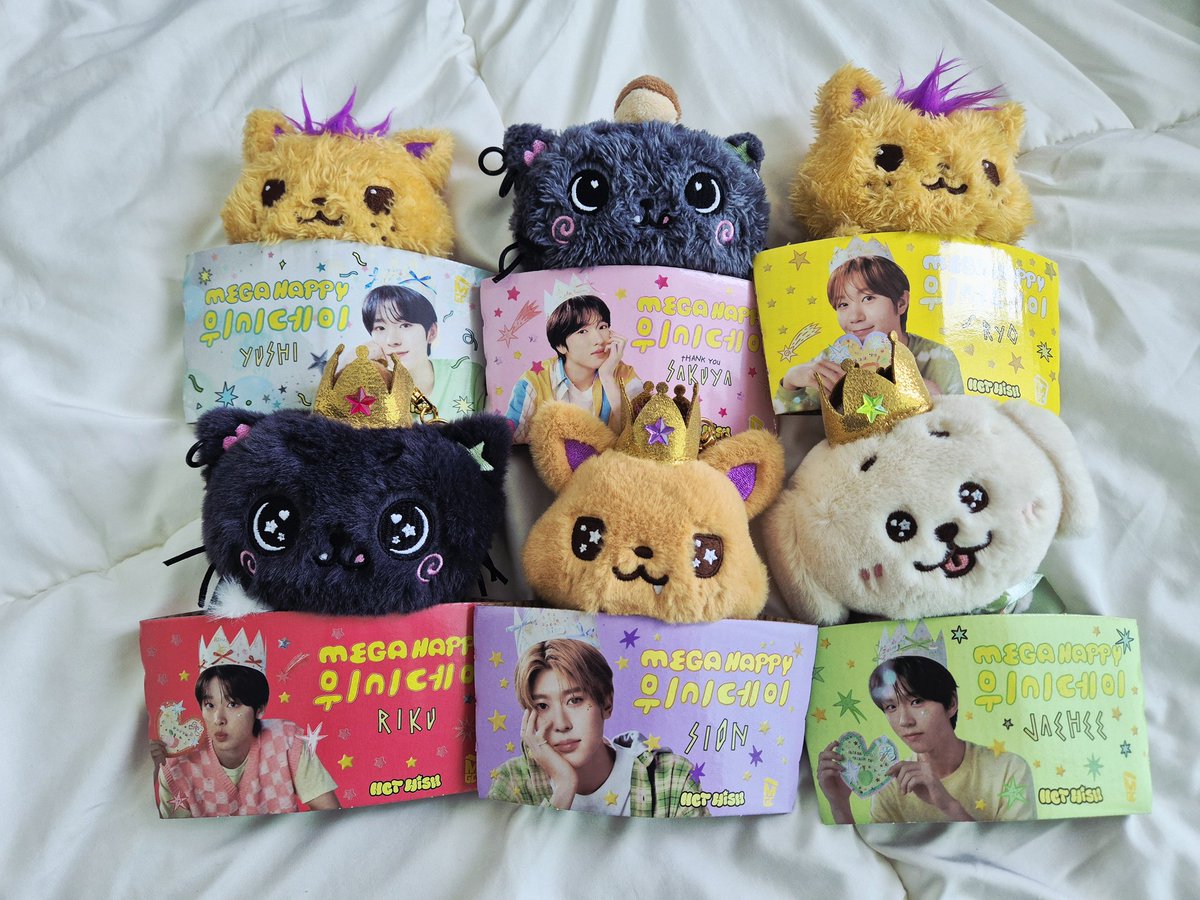 날아라리쿠🐿 tweet media