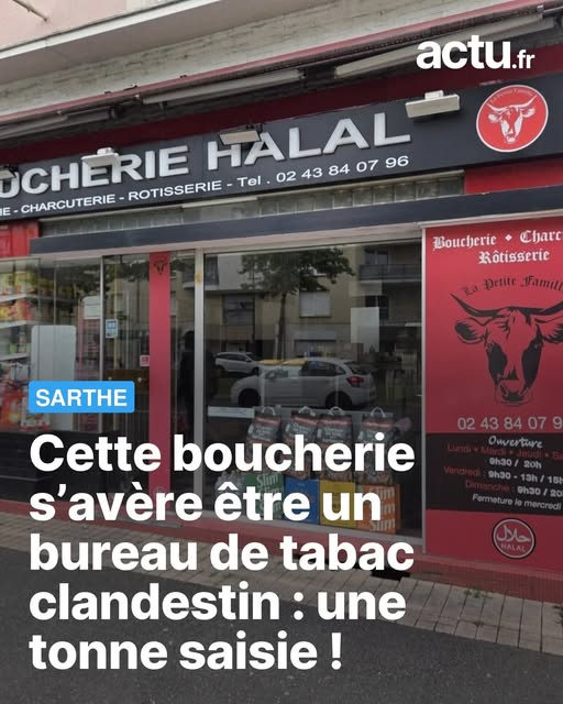 Charette, le Lys et l'épée tweet media