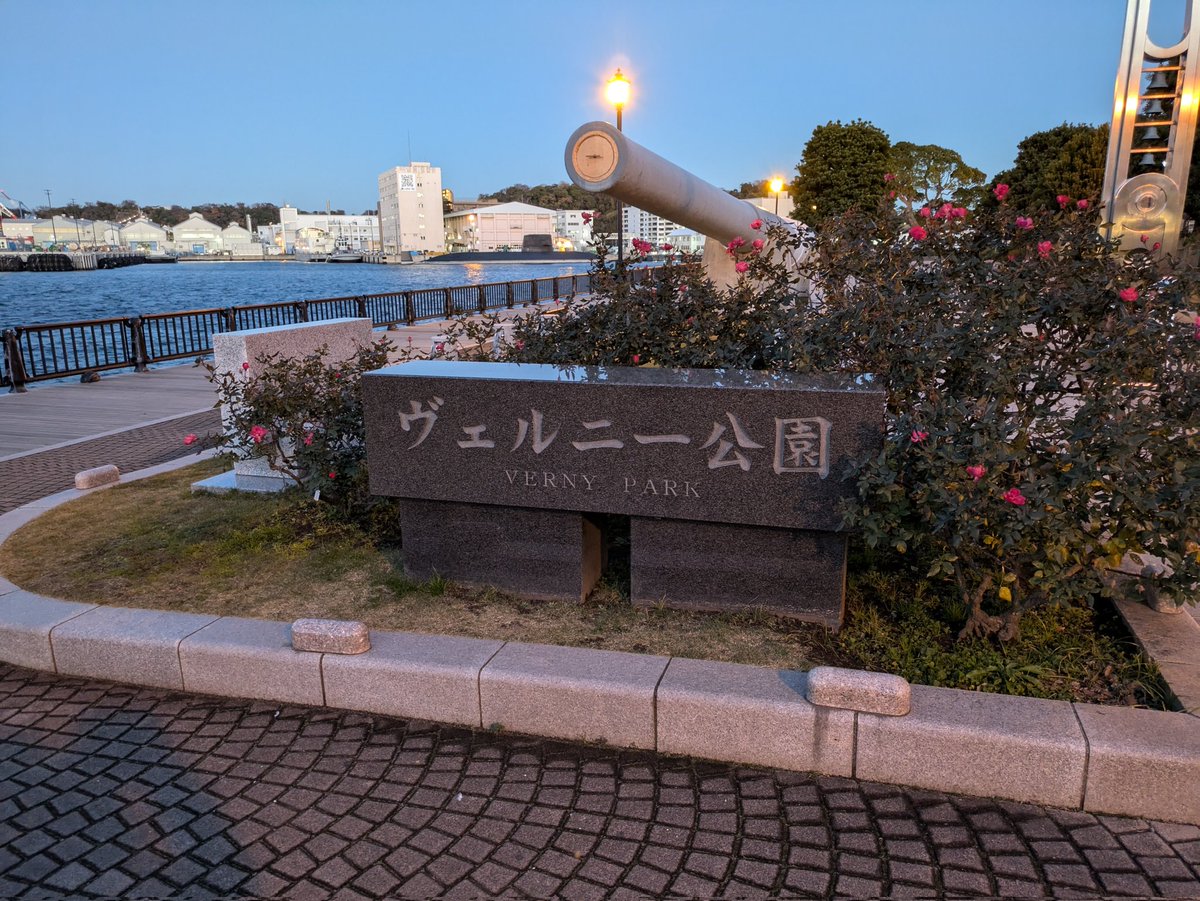 星野 優輝 tweet media
