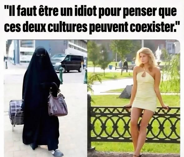 Charette, le Lys et l'épée tweet media