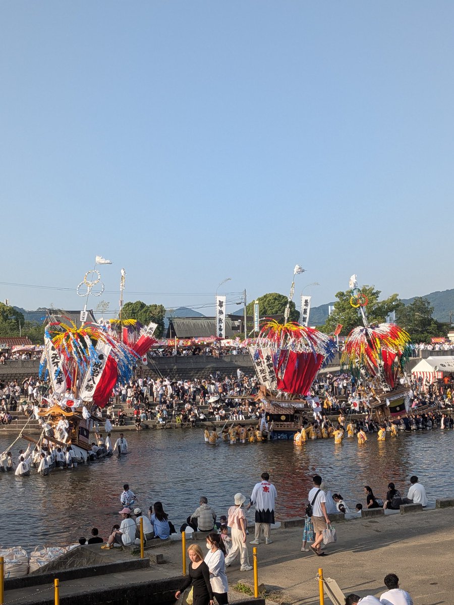 圧倒的社不 tweet media