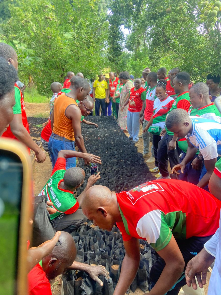 Kiwaguru's tweet photo. Grande mobilisation des Bagumyabanga pour accueillir @DorianeMunezero, SN du @CnddFdd chargée de la communication et marraine de #Burunga. La zone de Rumonge, à elle seule, atteint 50 000 plantules dans les pépinières d'avocatiers. Initiative @CnddFdd.
@IntumwaNews https://t.co/z7gvx59hNH