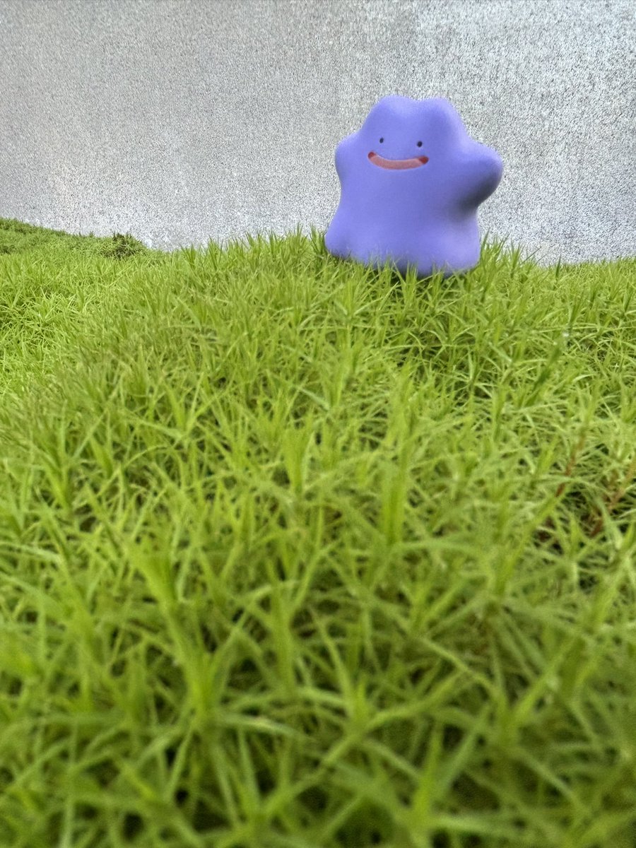 ✨️🌾✨️ ゐ@丶) ✨️🌾✨️ tweet media