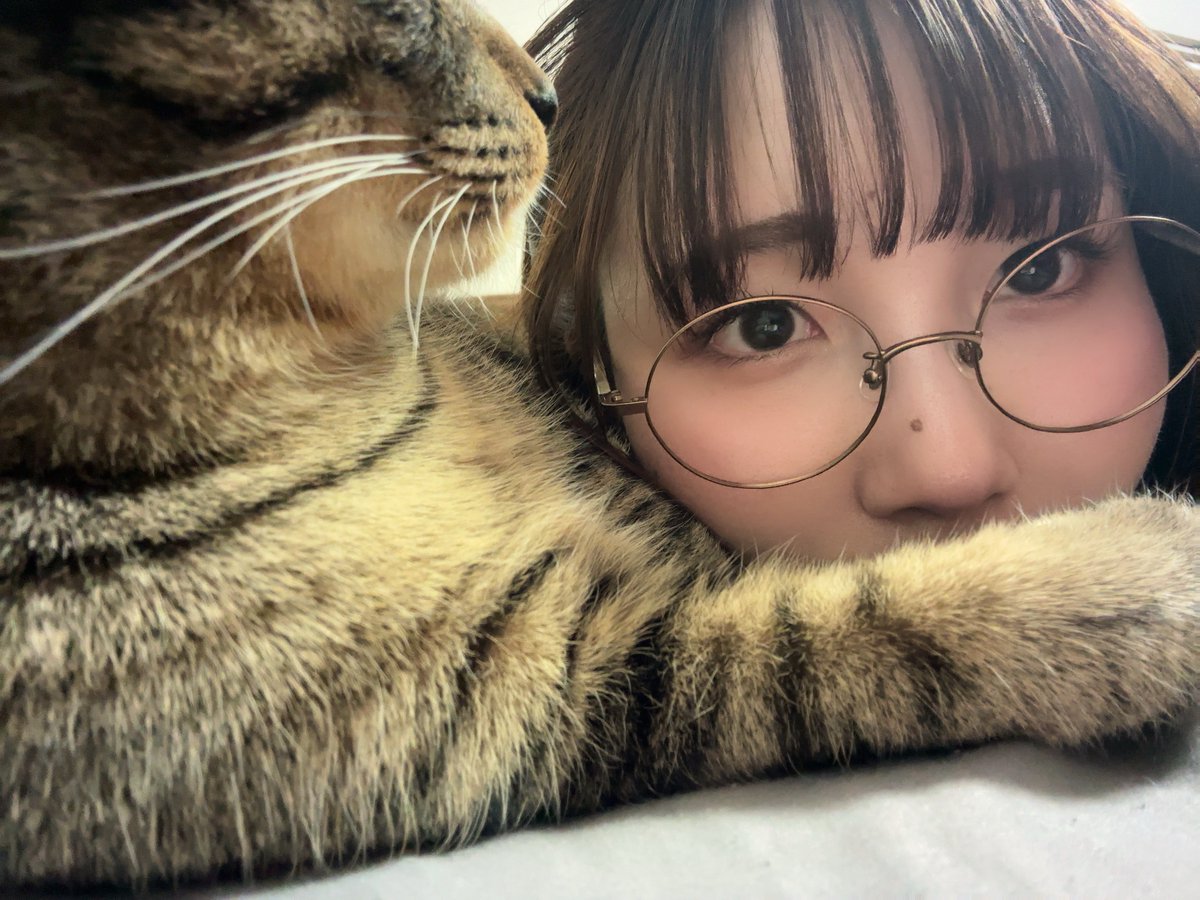 しゅう太 tweet media