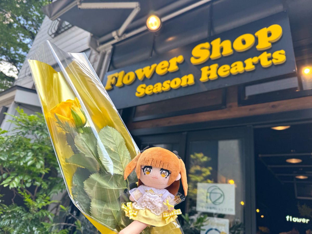 コアラママ💛 tweet media