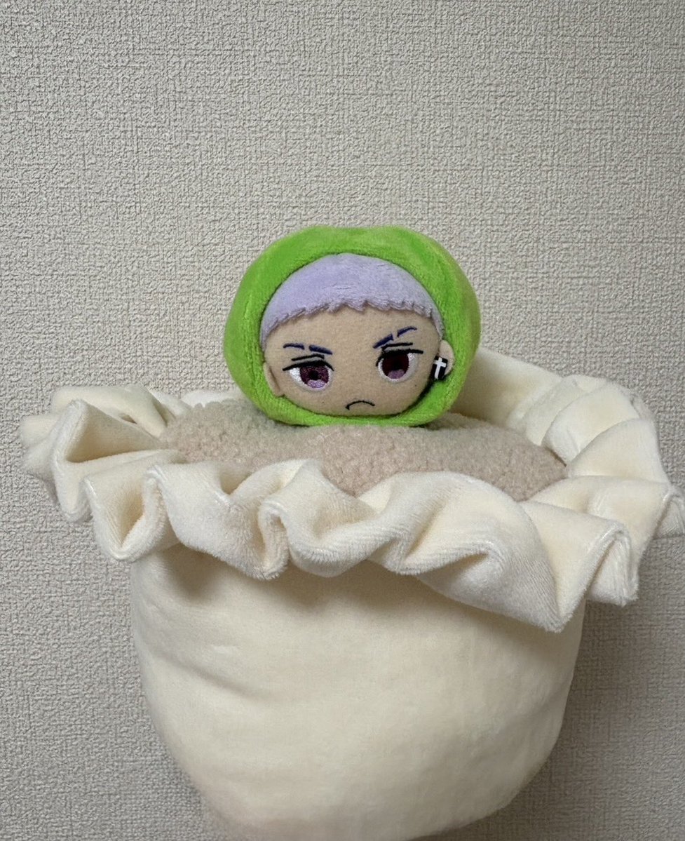 梅 tweet media