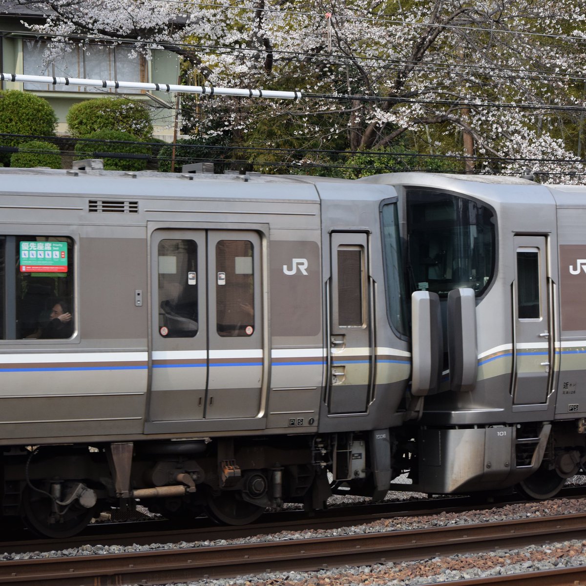 さんだぁばぁど tweet media