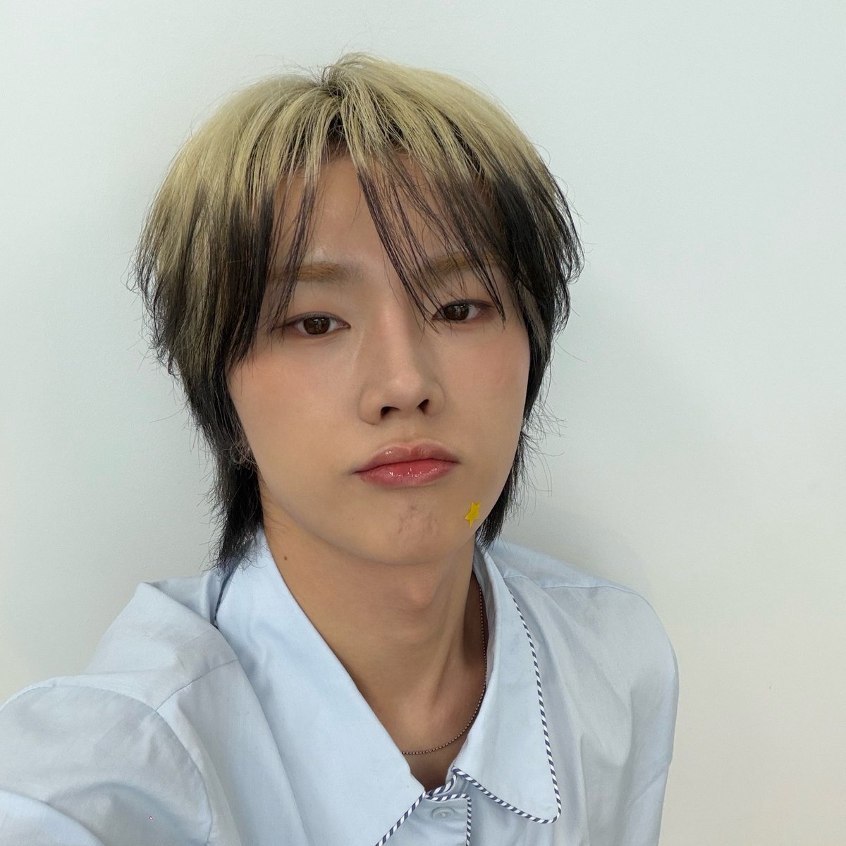 돌쁘니… tweet media