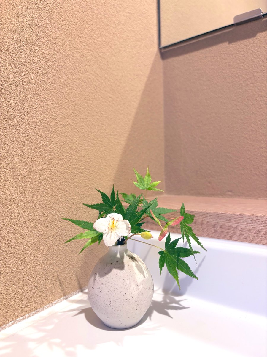 aum369ai's tweet photo. 3月から準備に入って、山鳥毛展示期間は走り回って、Ｘも始めて、ずっと目も回ってて、最近ようやく片付けも落ち着いてきて、気がついたら真夏みたいな5月半ば。

期間中
seppaに来てくださった方々
seppaに宿泊くださった方々
ありがとうございました✨
またお会いできる日を楽しみにしています。 https://t.co/UG4CwJYQDx