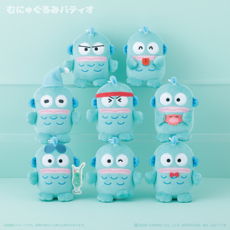 ハンギョドン💙グッズ情報 tweet media