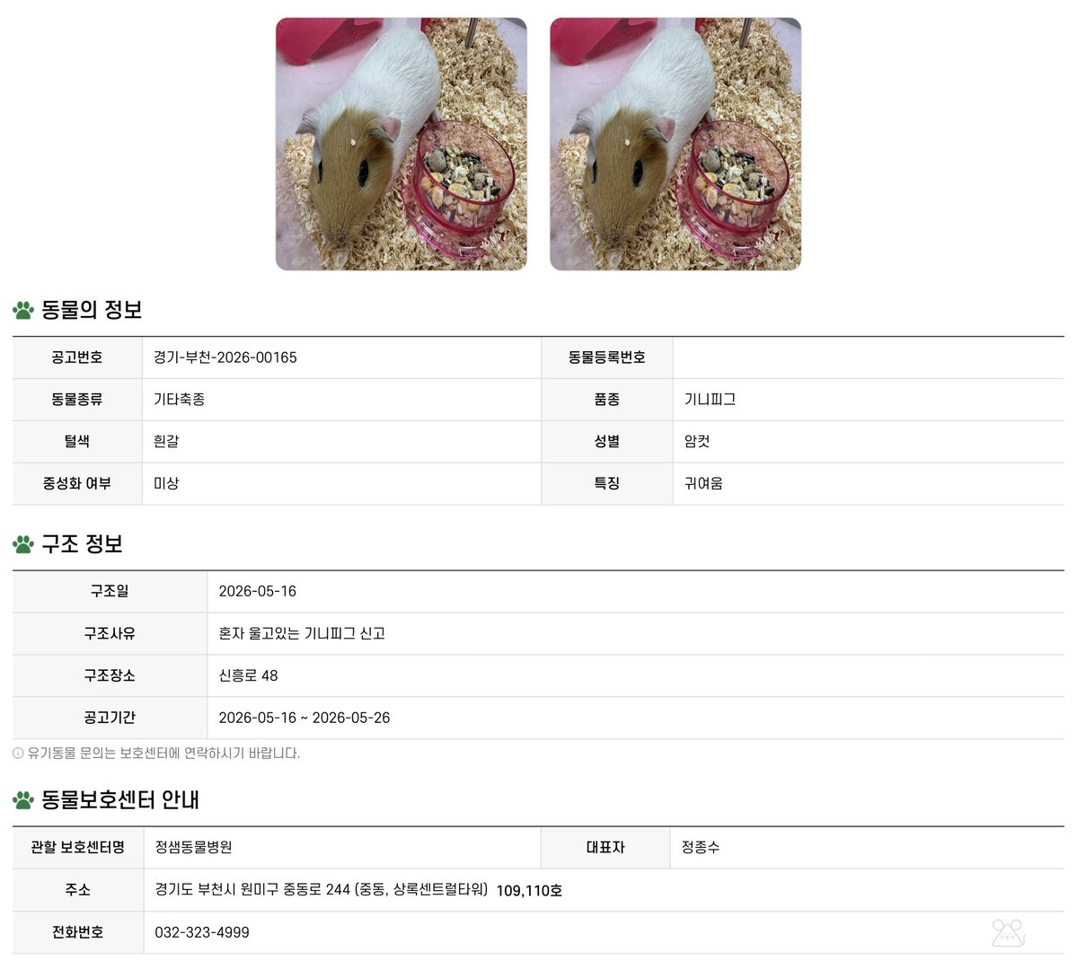 웅니 tweet media