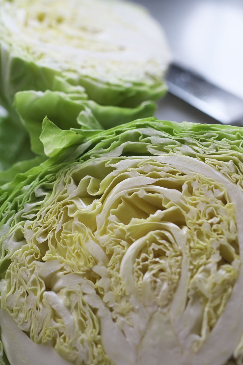 REosymdr's tweet photo. ｻﾞﾜｰｸﾗｳﾄは手作りに限るね
簡単でｳﾏｲ🐸🔪🥬 https://t.co/uGGb6gYZAC
