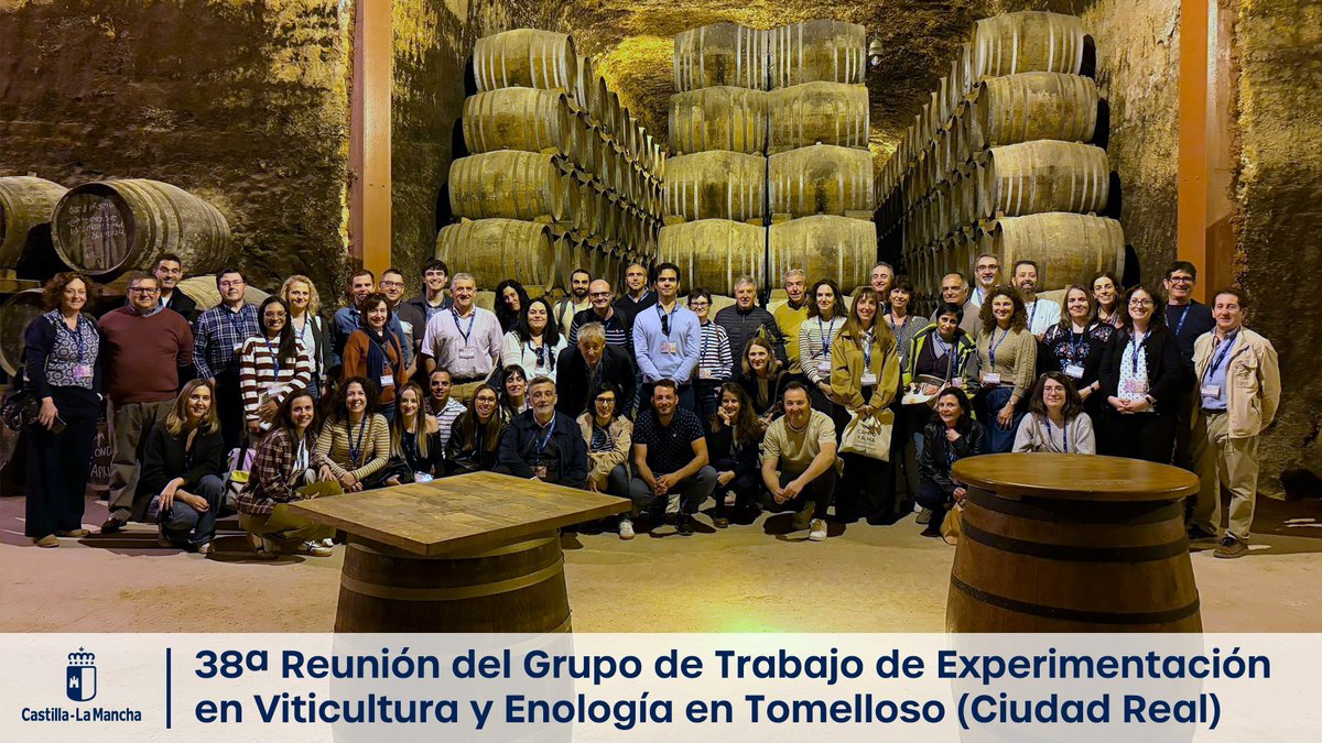 gobjccm's tweet photo. 🍇 Más de medio centenar de expertos analizan en el IVICAM los avances para adaptar el viñedo al #cambioclimático y mejorar la calidad del #vino.

✅ Un encuentro que consolida a #CLM como un referente en investigación vitivinícola.

ℹ️ https://t.co/pHS5J31Wnl https://t.co/UQ2Z5ia6vw
