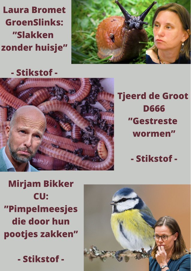 Paul H.J.M. van der Sommen #NEXIT tweet media