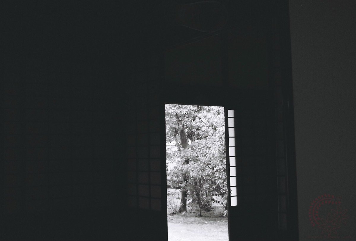 お疲れ様ですm(_ _)m #Contax139quartz CARL ZEISS Tessar 45mm F2.8 T