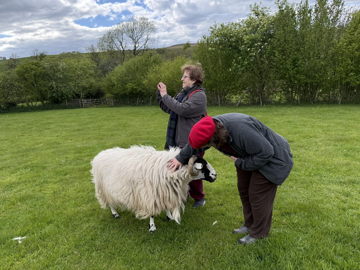 Alison O’Neill ~ Shepherdess tweet media