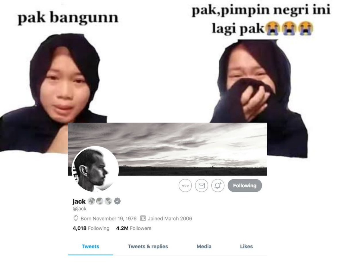 Risa🥢🐦‍🔥 tweet media