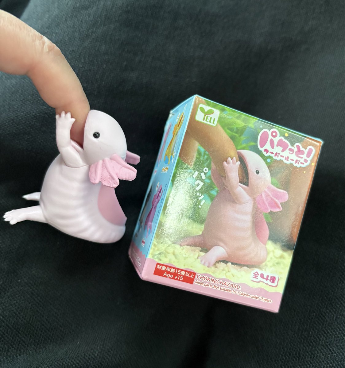 ako4140's tweet photo. @u_pa_risa かわい〜꒰(·─·)꒱ ｳﾊﾟｯ
私も今日ゲットしたよ〜꒰(·─·)꒱ https://t.co/fLuDN33DUc