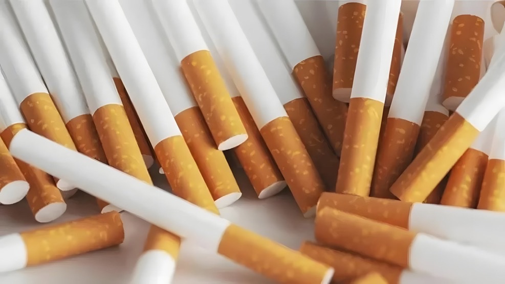 𝐌𝐚𝐭𝐭 𝐏𝐢𝐧𝐧𝐞𝐫 tweet media