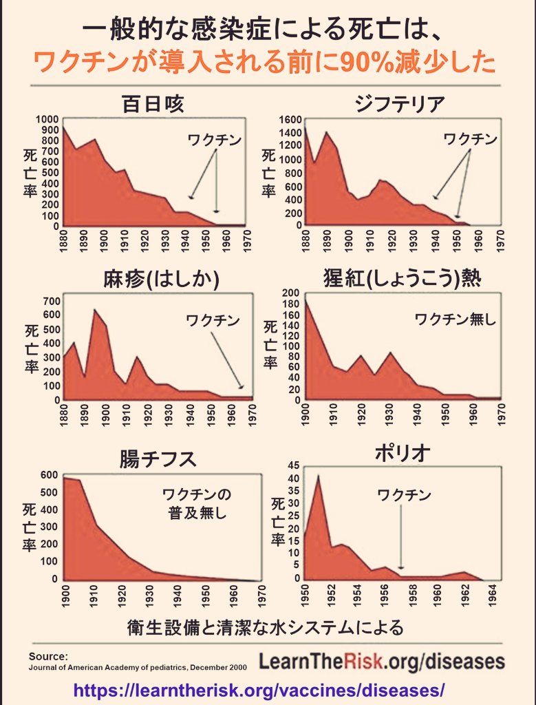 真 tweet media