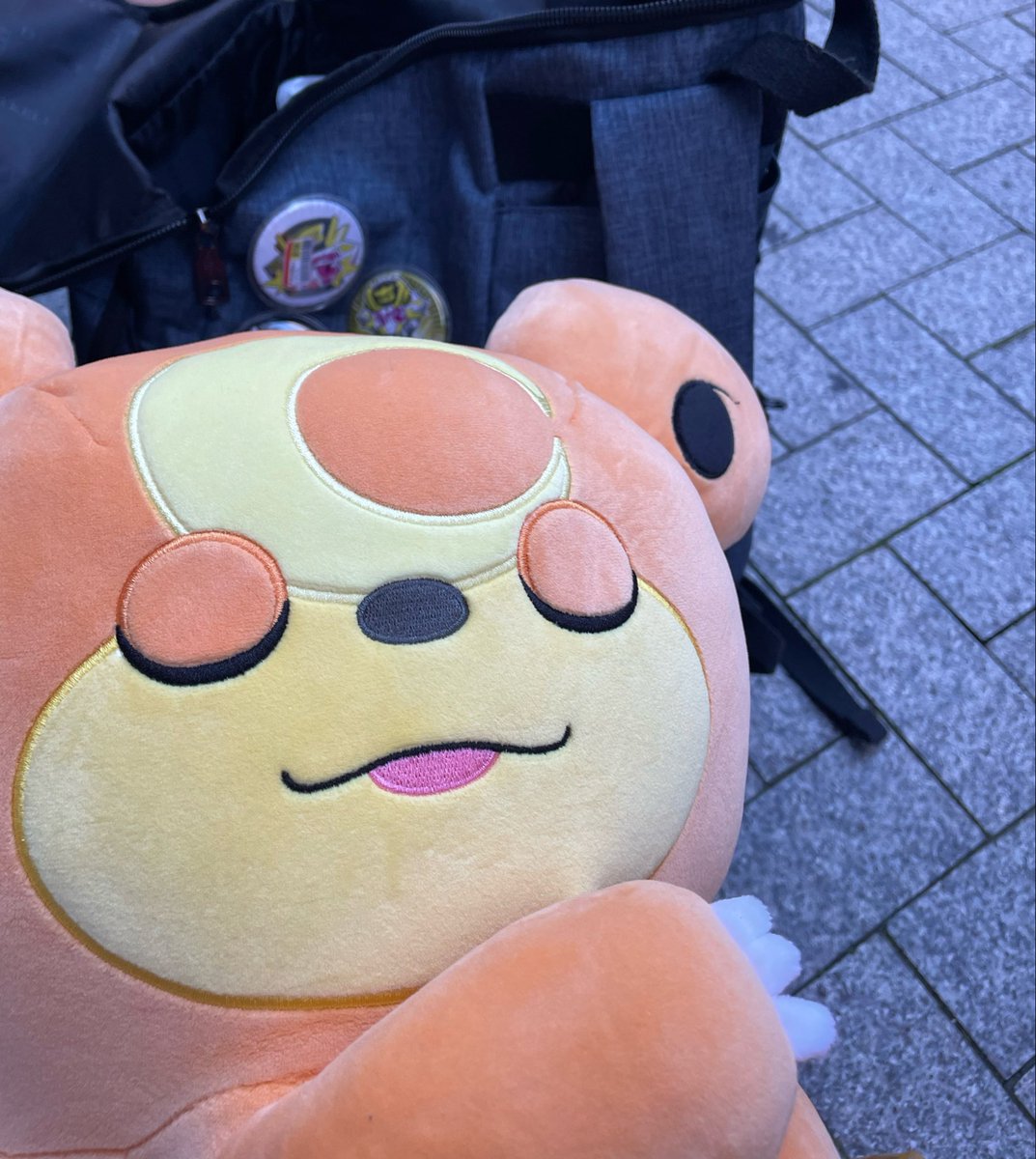 迫田ゆと tweet media