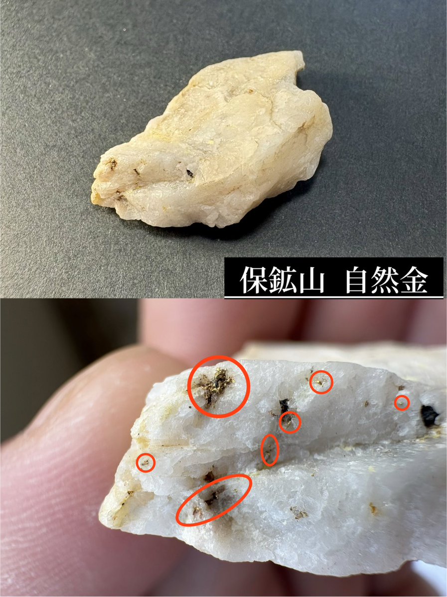 国産鉱物 自然金 砂金 砂金採り 標本 No2 【公式通販】