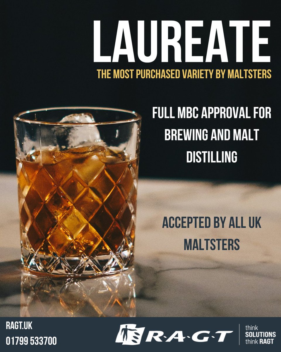 ragtseedsuk's tweet photo. It's #WorldWhiskyDay 🎉

With full MBC Approval for Brewing and Malt Distiling, it's no wonder that Laureate is accepted by all UK Maltsters!

Interested in finding out more? Check out our website now: https://t.co/VnWzXu5ZNS

#RAGT #RAGTUK #MaltingBarley #Barley #BritishFarming https://t.co/967QH8g8Fs