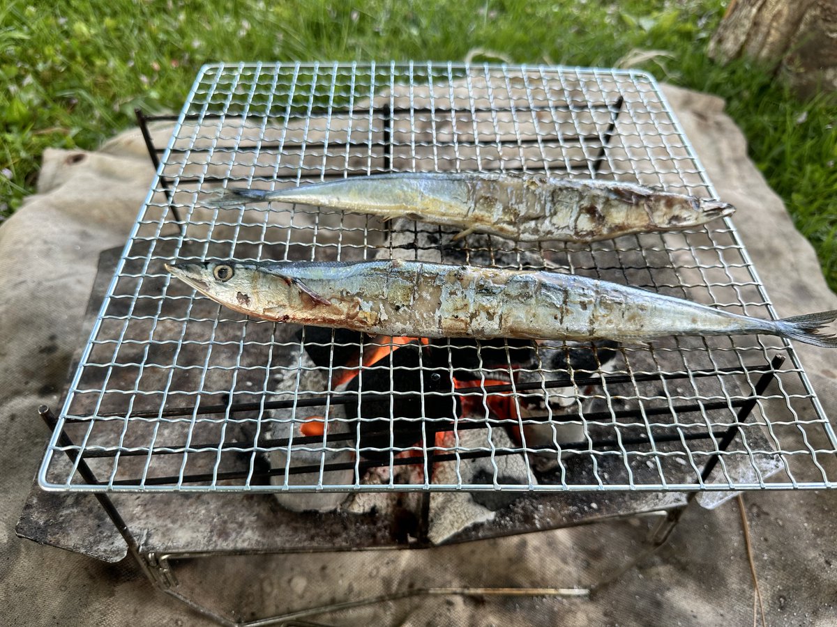 4ss21's tweet photo. 今日は秋刀魚 https://t.co/JUENQ9R7gF